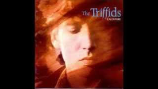 the Triffids  hometown farewell kiss [upl. by Anohr]