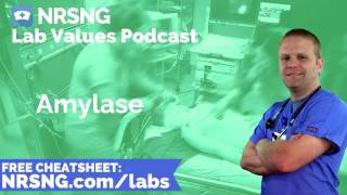 Amylase Nursing Considerations Normal Range Nursing Care Lab Values Nursing [upl. by Nickles]