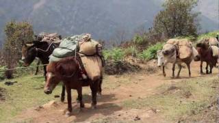 Feelings of Bhutan I  Trekking in Merak amp Sakteng [upl. by Enomas700]