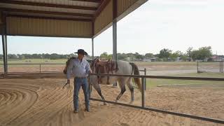 Wall Street Equestrian Center [upl. by Willman]