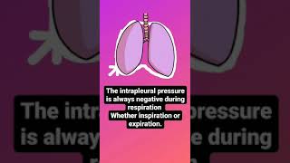 Intrapleural pressure [upl. by Ennyletak659]