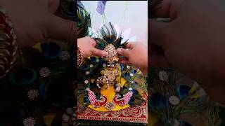 एकादशी का व्रत रखने का फल। 🙏🌸🙇‍♀️ ekadashi krishna laddugopal trending shorts bhajan trending [upl. by Edgerton248]