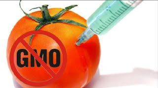 GMO Foods Are Killing Us Warning [upl. by Neb]