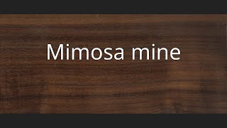 Mimosa mine [upl. by Jeaz]