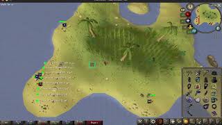 OSRS Raw Recording  2x TOA Expert with Zhasta on 5162024 [upl. by Muryh]