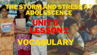 HSC English 1st Paper Unit 6 Lesson 1 The Storm And Stress At Adolescence Vocabulary [upl. by Nede]