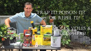 MOLES VOLES amp GOPHERS Traps Poisons or Repellents Explained by Biologist Charles J Malki [upl. by Llenyr570]