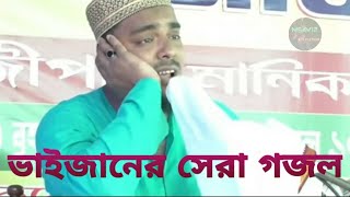 Falak par chand jaisa hai পীরজাদা আব্বাস সিদ্দিকী হিন্দি গজল Abbas bhaijaner hindi gojol [upl. by Groot138]