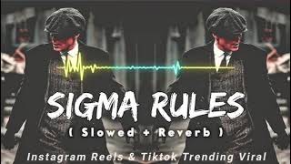 Cheques  Slowed  Reverb   Shubh Attitude 😈 2024 LOFI Songs tseries lofi song viral trending [upl. by Nolrak606]