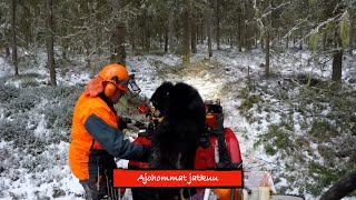 Ajohommat jatkuu Kranman 1750 E Honda Foreman 500 [upl. by Trab357]