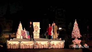 Small World Holiday Lighting Ceremony [upl. by Behlau]