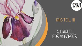 Iris Aquarell für Anfänger  Licht amp Schatten Kontraste setzen  Hintergrund Komposition  Teil 3 [upl. by Hildagarde]