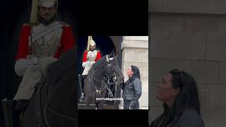 Extraordinary Connection between Stranger and The Horse Epic Moments Horse Guards [upl. by Olonam]