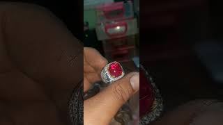 ruby mozambiq pigeon [upl. by Kendyl]