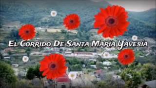 El Corrido De Santa Maria Yavesia 2017 [upl. by Lareine]