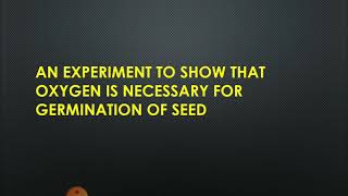 Experiment to prove that oxygen is necessary for Germination of seedusing alkaline pyrogallic acid [upl. by Yenwat]