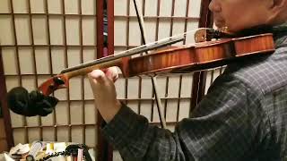 200131 gp1g Brahms passage fingering chinkimviolinlessons chinkim com [upl. by Reynard]