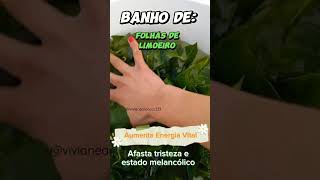 🌿🍋💚Banho energético com folhas de limoeiro [upl. by Notniw]