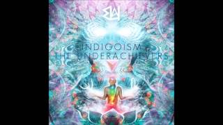 The Underachievers  Indigoism Extended Full Mixtape  Download [upl. by Astraea865]