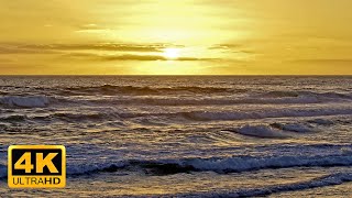 The Golden Hour Stunning sunset view at Woolamai Surf Beach [upl. by Nawram288]