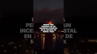 Muere una persona en un incendio forestal en el estado de Nueva York [upl. by Dlorej]