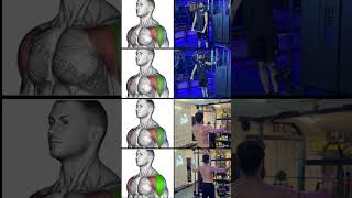 Best shoulder exercises with the cable machine shoulderday shoulderworkout shoulder [upl. by Mosera672]