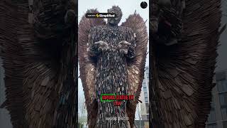 Truth of knife angel 🤯😲 sciencefacts facts ManicFacts66 shorts [upl. by Noside]