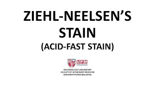 Ziehl Neelsen Stain AcidFast Stain  Principle Procedure and Interpretation [upl. by Cybill354]