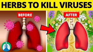 Top 10 Herbs for Lung Health Clearing Mucus COPD and Killing Viruses [upl. by Adnoryt520]