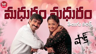 Madhuram Madhuram Song Telugu Lyrics Shock Movie Ravi Teja Jyothika  SPBalasubramanyam Chitra [upl. by Steve]