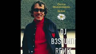 Östen Warnerbring  Det va Längesen man plocka några blommor DJ B3STUNIT REMIX [upl. by Yrekaz287]