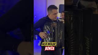 ACA BRAJIC  BORCA saxophone uzivo live muzika music muziko milanstrasni svatba svadba [upl. by Ayotan734]