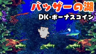 31 バッザーの湖 DKコイン・ボーナスコイン攻略【スーパードンキーコング3】Donkey Kong Country 3  Bazzas Blockade [upl. by Alrzc]