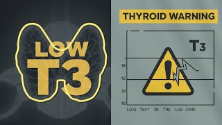 You Wont Believe the Shocking Truth About Hypothyroidism  Thyroid  Levothyroxine  Hypothyroidism [upl. by Becht]