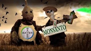 DW DOCUMENTALES La semilla del MAL Bayer y Monsanto [upl. by Cilka770]