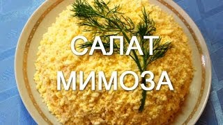 Салат Мимоза Простые рецепты салатов [upl. by Adnuahsar]