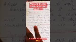 AFB Staining AFB Bacilli ko acid fast kyu bolte haimedical microbiology biology viralshort [upl. by Yrnehnhoj672]