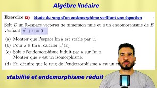 Exercice dalgèbre linéaire endomorphisme et sous espaces stables et calcul du rang MP PSI SMA MIP [upl. by Atillertse222]