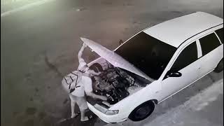 This one stealing batteries from peoples cars along Piccadilly Street in east Port of Spain [upl. by Yraeg]