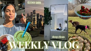 WEEKLY VLOG ♡ new year reset how to keep healthy habits in 2024 motivation fuel deep clean [upl. by Sirrot]