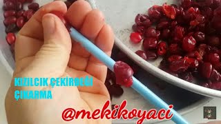 kızılcık reçeli nasıl yapılır kızılcık çekirdeği en kolay nasıl çıkarılır kızılcık marmelatı [upl. by Bogoch]