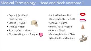 Medical Terminology  Lesson 6  Anatomy and Anatomical Terms [upl. by Neelav498]