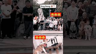 Dog Songdogshorts doglovers doge mike crowd stage funny youtubeshorts shorts trend daily [upl. by Housen632]