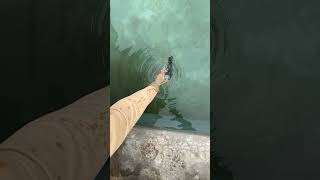 762 msd Testing in Under water  AVAILABLE Luthra Gun House Batala Punjab india [upl. by Charmine504]