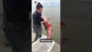 solte os peixes no mar viralvideo shorts trending funny [upl. by Ellenar195]