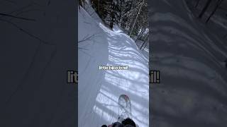 Snowboarding a mountain bike trail snowboarding [upl. by Hgielsa]