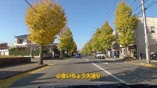 千葉市 小倉いちょう大通り 車載動画 201311 [upl. by Adrienne]