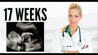 17 WEEKS ULTRASOUND 17 weeks pregnant ultrasound pregnancy ultrasound 17 weeks [upl. by Jolanta]