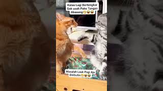 Si Mpus lagi bertengkar youtube Aqsya Channel [upl. by Kampmann]