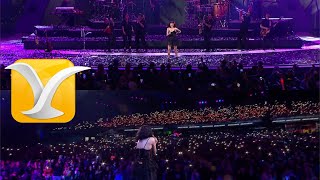 Mon Laferte  Tu Falta De Querer  Festival de la Canción de Viña del Mar 2020  Full HD 1080p [upl. by Cira885]